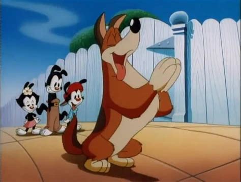 Animaniacs Season 1 .